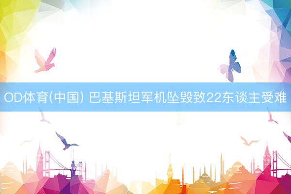 OD体育(中国) 巴基斯坦军机坠毁致22东谈主受难