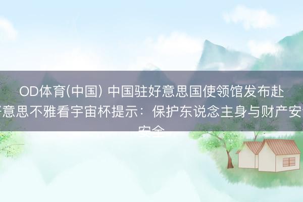 OD体育(中国) 中国驻好意思国使领馆发布赴好意思不雅看宇宙杯提示：保护东说念主身与财产安全