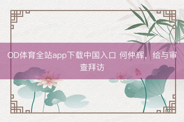OD体育全站app下载中国入口 何仲辉，给与审查拜访