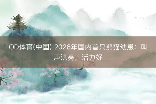 OD体育(中国) 2026年国内首只熊猫幼崽：叫声洪亮，活力好