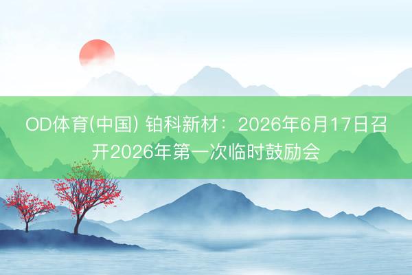 OD体育(中国) 铂科新材：2026年6月17日召开2026年第一次临时鼓励会