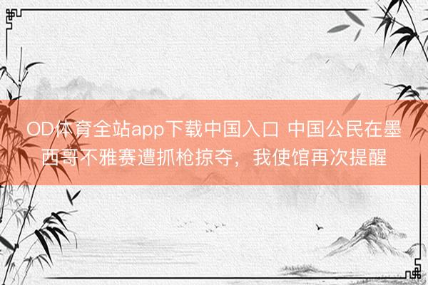 OD体育全站app下载中国入口 中国公民在墨西哥不雅赛遭抓枪掠夺，我使馆再次提醒