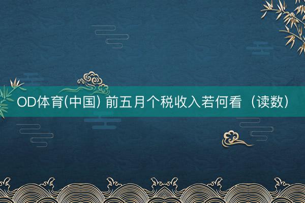 OD体育(中国) 前五月个税收入若何看（读数）