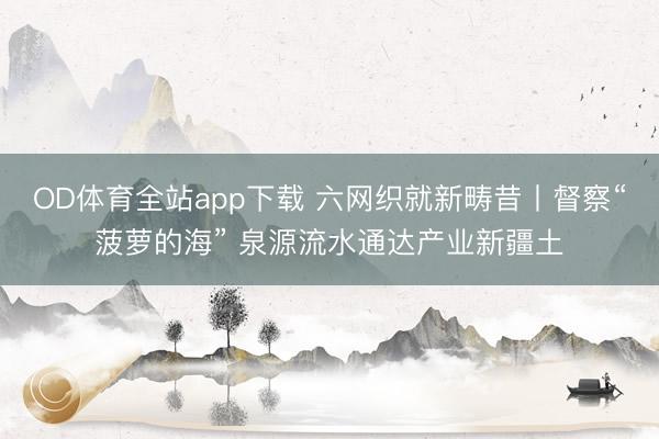 OD体育全站app下载 六网织就新畴昔丨督察“菠萝的海” 泉源流水通达产业新疆土