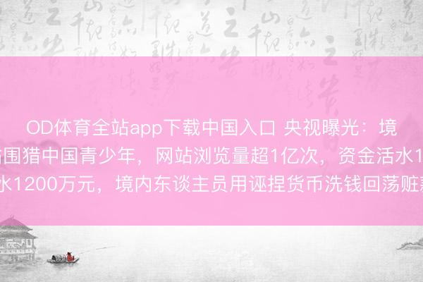 OD体育全站app下载中国入口 央视曝光：境外团伙搭色情漫画网站围猎中国青少年，网站浏览量超1亿次，资金活水1200万元，境内东谈主员用诬捏货币洗钱回荡赃款，30多东谈主被握