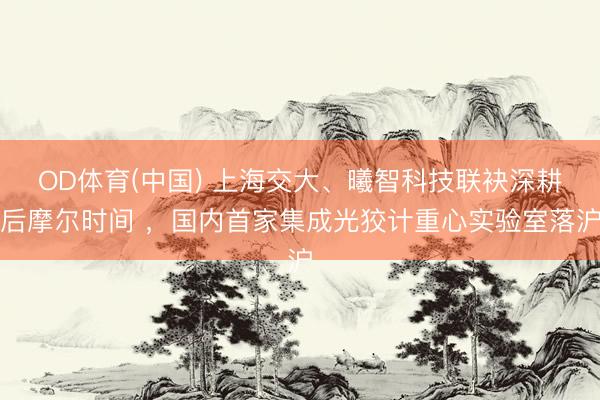 OD体育(中国) 上海交大、曦智科技联袂深耕后摩尔时间 ，国内首家集成光狡计重心实验室落沪