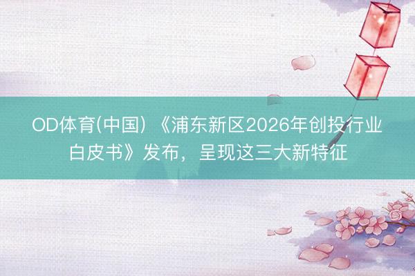 OD体育(中国) 《浦东新区2026年创投行业白皮书》发布,呈现这三大新特征