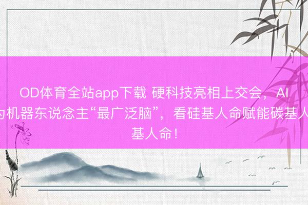 OD体育全站app下载 硬科技亮相上交会，AI成为机器东说念主“最广泛脑”，看硅基人命赋能碳基人命！