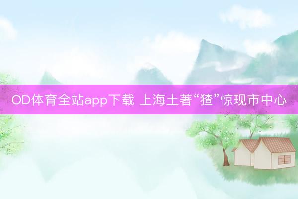 OD体育全站app下载 上海土著“猹”惊现市中心