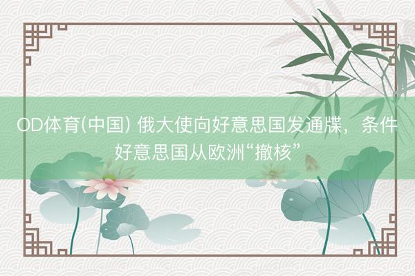 OD体育(中国) 俄大使向好意思国发通牒，条件好意思国从欧洲“撤核”
