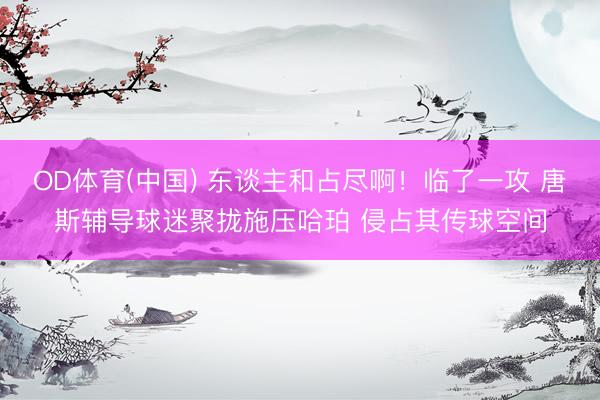 OD体育(中国) 东谈主和占尽啊！临了一攻 唐斯辅导球迷聚拢施压哈珀 侵占其传球空间
