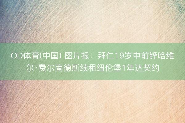 OD体育(中国) 图片报：拜仁19岁中前锋哈维尔·费尔南德斯续租纽伦堡1年达契约