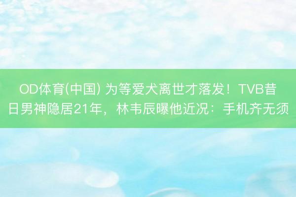 OD体育(中国) 为等爱犬离世才落发！TVB昔日男神隐居21年，林韦辰曝他近况：手机齐无须