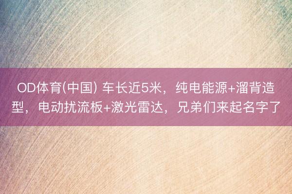 OD体育(中国) 车长近5米，纯电能源+溜背造型，电动扰流板+激光雷达，兄弟们来起名字了
