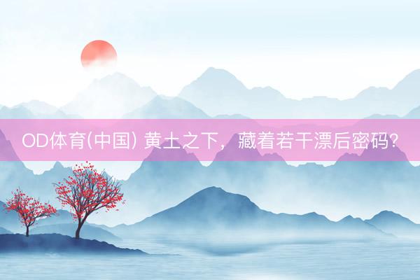 OD体育(中国) 黄土之下，藏着若干漂后密码？