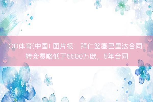 OD体育(中国) 图片报：拜仁签塞巴里达合同！转会费略低于5500万欧，5年合同