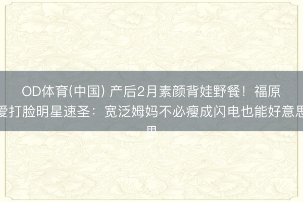 OD体育(中国) 产后2月素颜背娃野餐！福原爱打脸明星速圣：宽泛姆妈不必瘦成闪电也能好意思