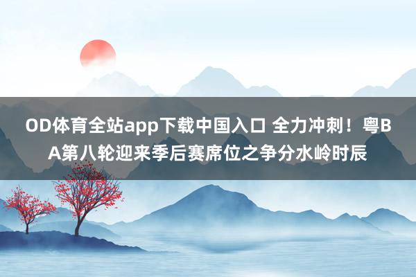 OD体育全站app下载中国入口 全力冲刺！粤BA第八轮迎来季后赛席位之争分水岭时辰