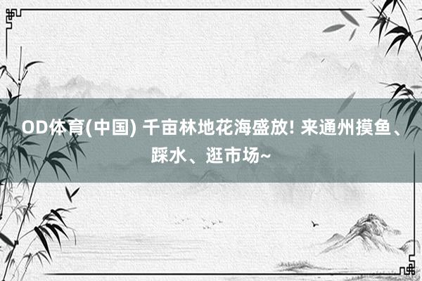 OD体育(中国) 千亩林地花海盛放! 来通州摸鱼、踩水、逛市场~