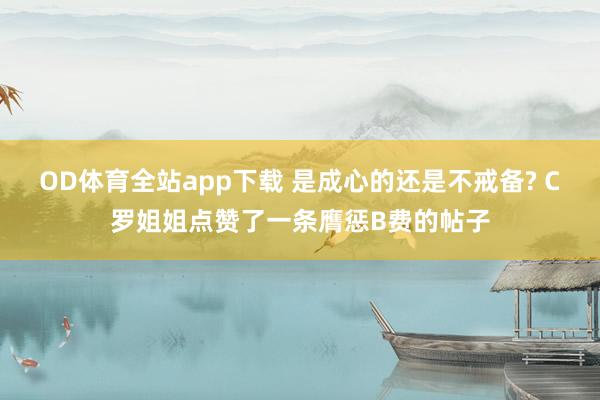 OD体育全站app下载 是成心的还是不戒备? C罗姐姐点赞了一条膺惩B费的帖子
