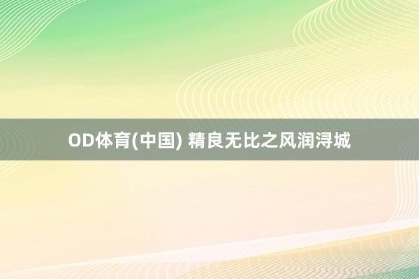 OD体育(中国) 精良无比之风润浔城